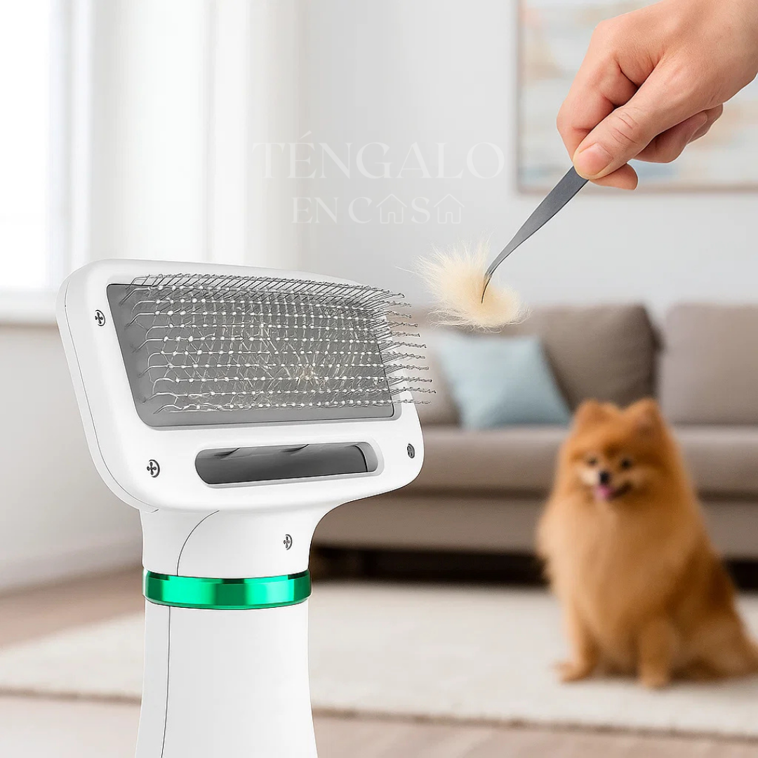 Cepillo Secador para Mascotas