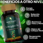 Ashwagandha Reduce cortisol & estrés +ENVÍO GRATIS